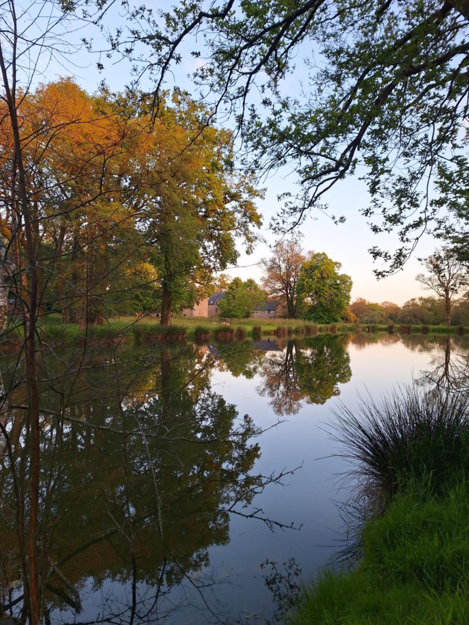 Domaine De Bobehec - Gite De Groupe, Chambres & Salle - 23 Personnes - Morbihan Proche Vannes Et Plages La Vraie-Croix Ngoại thất bức ảnh