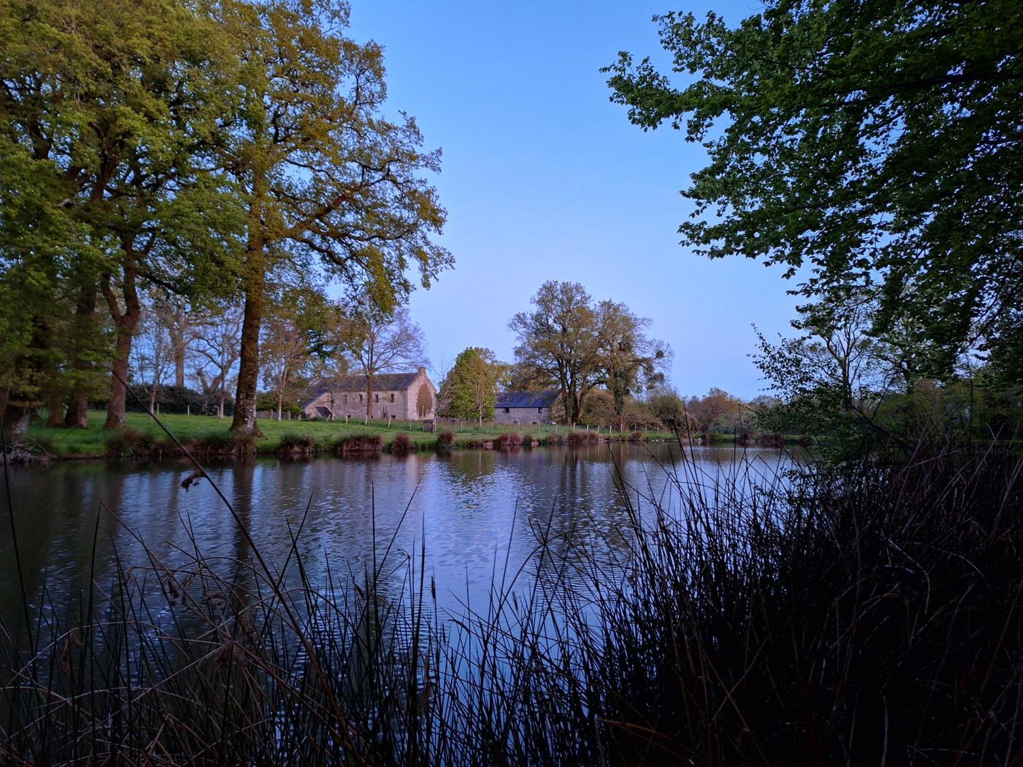 Domaine De Bobehec - Gite De Groupe, Chambres & Salle - 23 Personnes - Morbihan Proche Vannes Et Plages La Vraie-Croix Ngoại thất bức ảnh